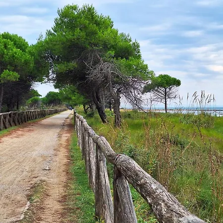 Apartment Bright Flat Close To Promenade Bibione